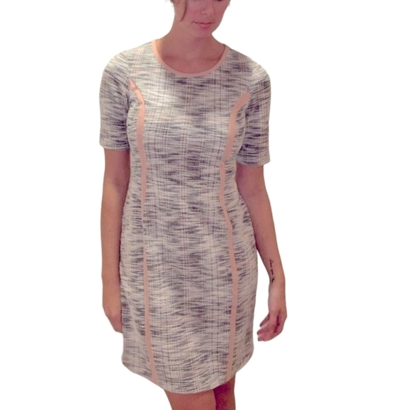 CONNECTED Apparel Crew Neck Short Sleeve Panel Knit Dress Blush Size: 8 - Picture 6 of 6